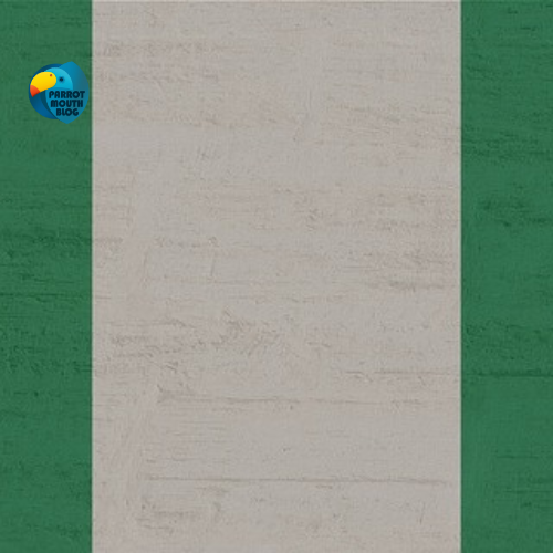 Nigeria Ambassador